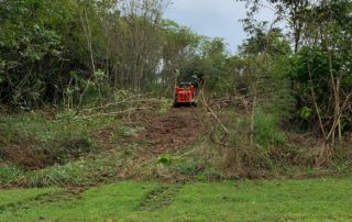 Bobcat clearing a piece of property that is overgrown.